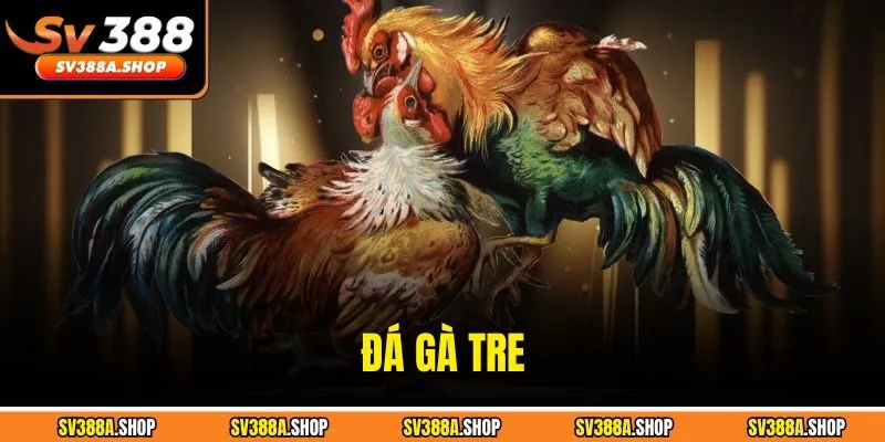 Đá Gà Tre Kịch Tính – Trải Nghiệm Giải Trí Không Thể Bỏ Qua